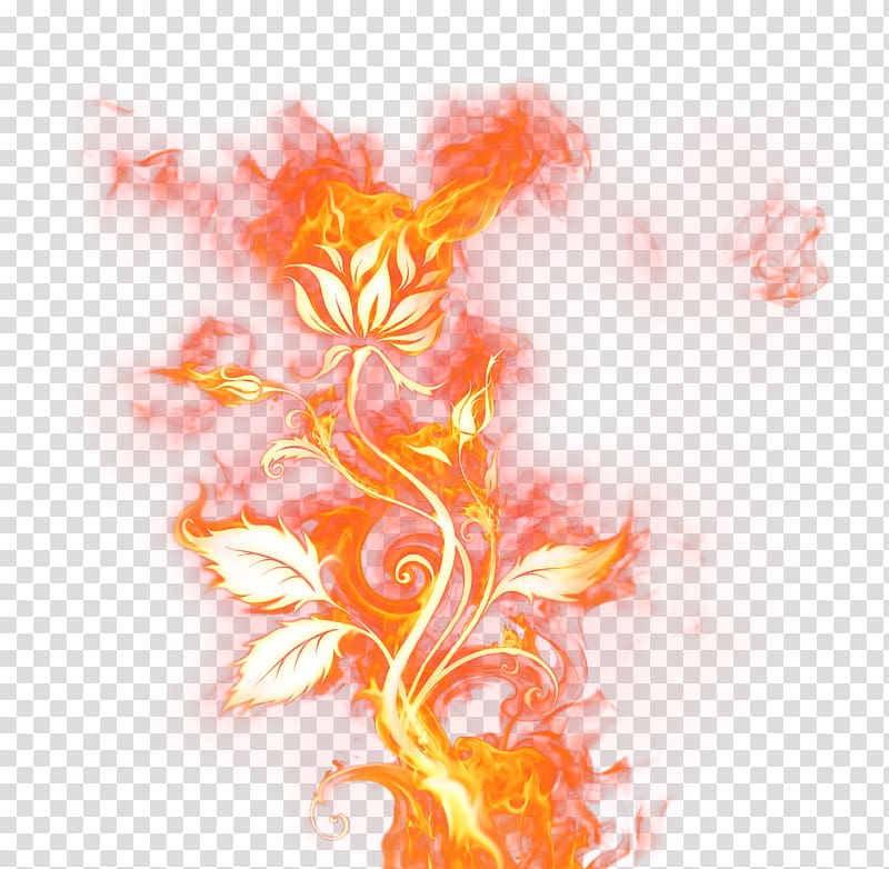 Pattern, Beautiful Rose of Fire , flaming flower transparent background PNG clipart