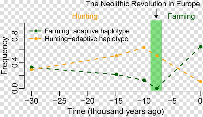 Neolithic Europe Neolithic Revolution Genetics, others transparent background PNG clipart