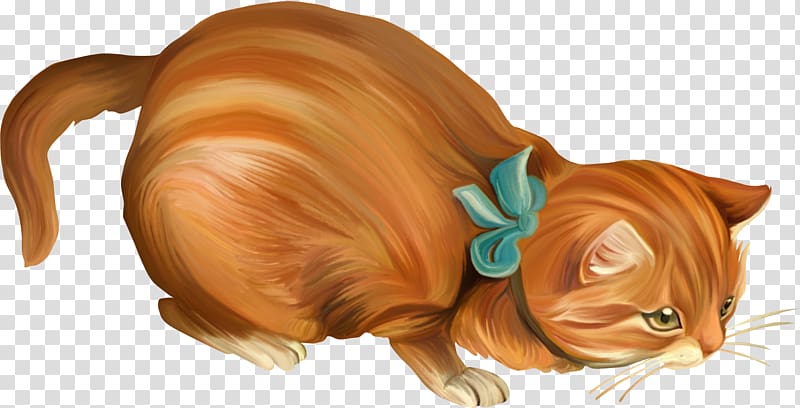 Whiskers Kitten Tabby cat Tail, tree transparent background PNG clipart