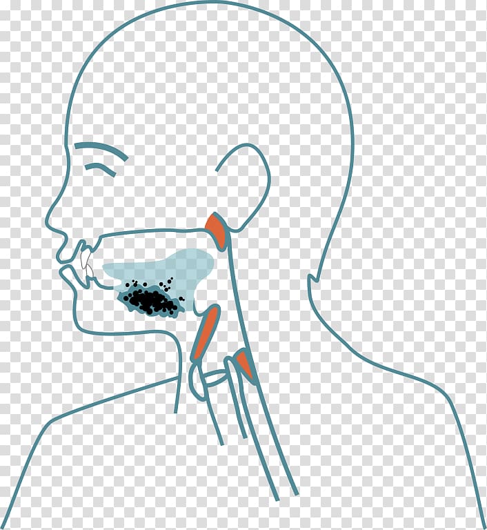 Jaw Mouth Face Head Neck, oral cavity transparent background PNG clipart