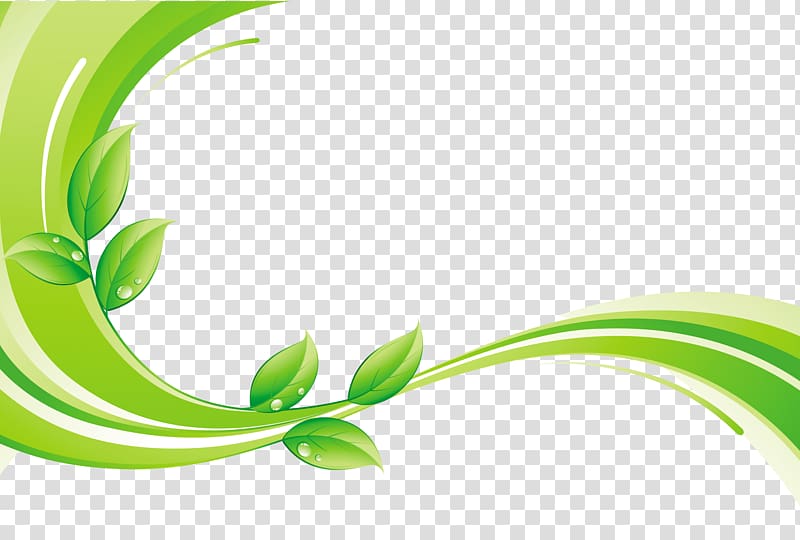 green leaves graphic art, Green Euclidean , Green leaf with decorative lines transparent background PNG clipart