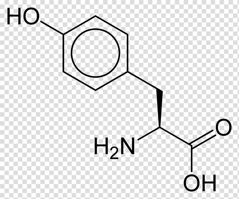 Lysine Amino acid Isoleucine Glutamic acid, others transparent background PNG clipart