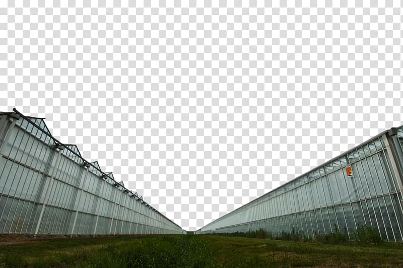 Glass Facade Greenhouse Wall, Glass greenhouse transparent background PNG clipart