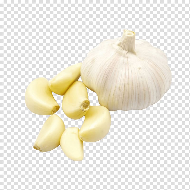 Elephant garlic Twice-cooked pork Vegetable Oil, garlic transparent background PNG clipart