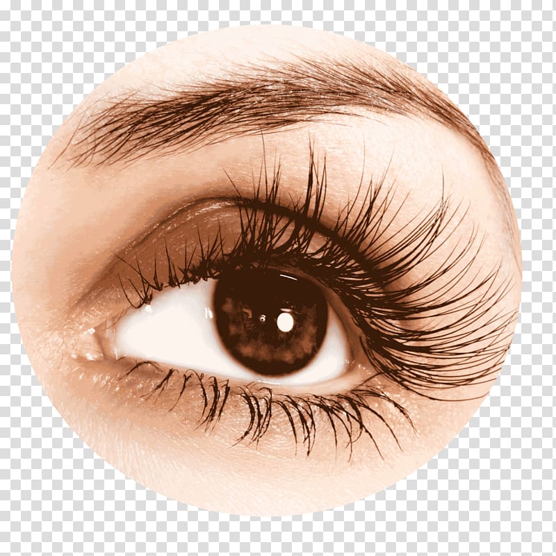 Eyelash extensions Hair Permanents & Straighteners Cosmetics Bimatoprost, lashes transparent background PNG clipart