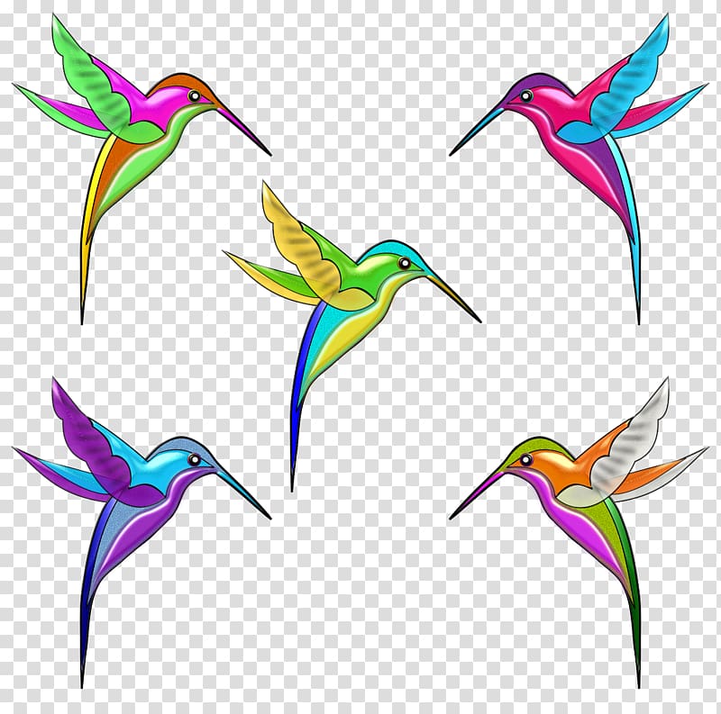 Hummingbird Violetear , Bird transparent background PNG clipart