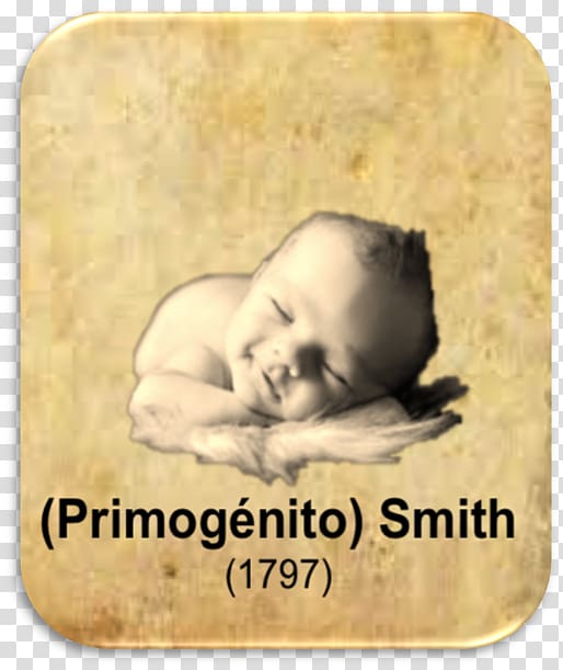 Sleeping Beauties: Newborns in Dreamland Snout Infant Riba Smith Costa del Este Font, Joseph Smith transparent background PNG clipart