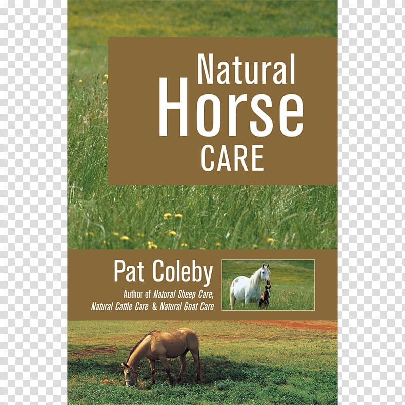 Natural Horse Care Natural cattle care Healthy Cattle Naturally Amazon.com, horse transparent background PNG clipart