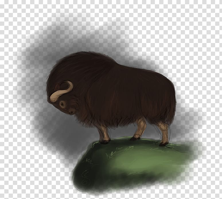 Sheep Muskox Fauna Terrestrial animal, sheep transparent background PNG clipart
