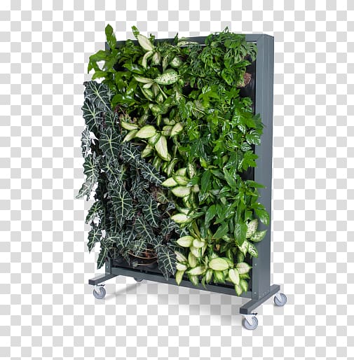 Green wall Gardening Flowerpot, vertical garden transparent background PNG clipart