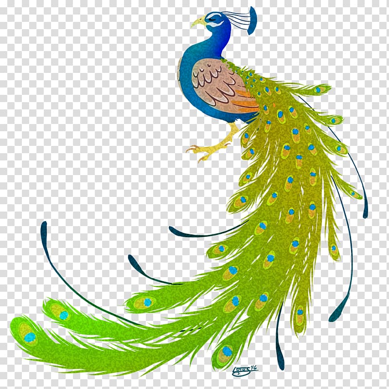 Bird Peafowl Feather , peacock transparent background PNG clipart