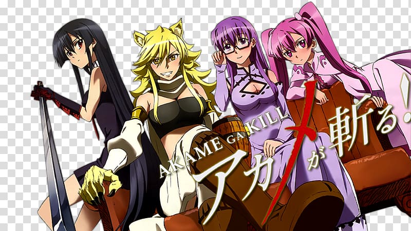 Akame ga Kill! Anime Fan art Television Fiction, Anime transparent background PNG clipart