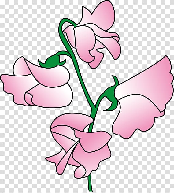 Sweet pea Flower , flower transparent background PNG clipart