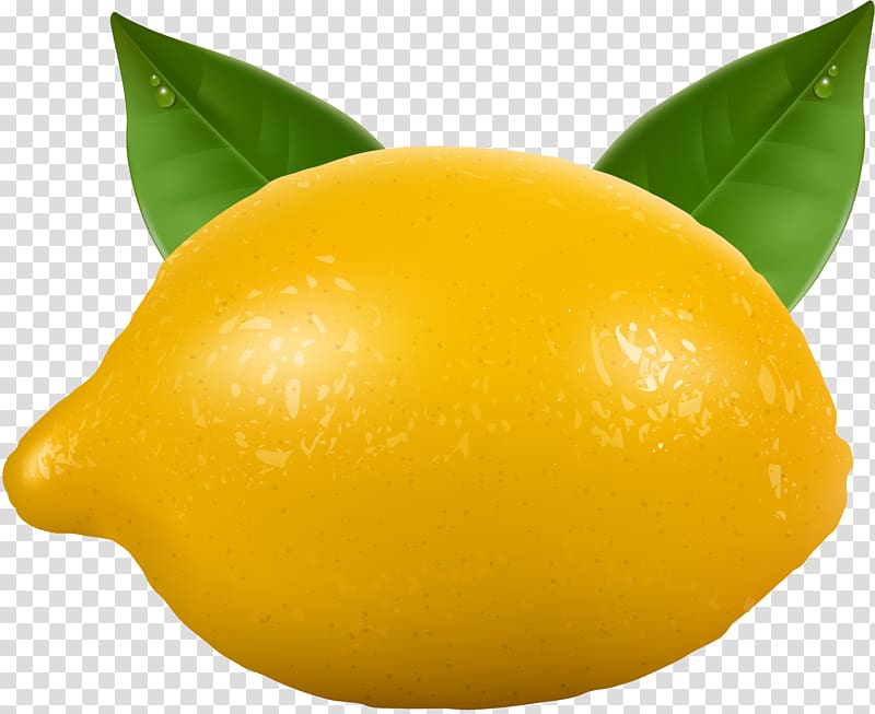 Meyer lemon Yellow Orange, Hand painted yellow lemon transparent background PNG clipart