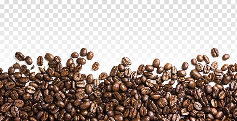 coffee bean lot with teal background, Coffee bean Iced coffee, Coffee beans transparent background PNG clipart