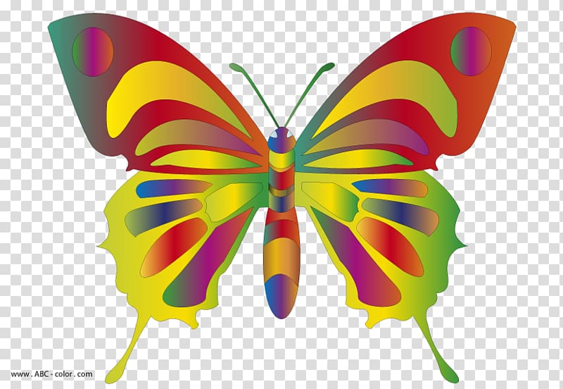 Drawing Butterfly , colorful butterfly transparent background PNG clipart