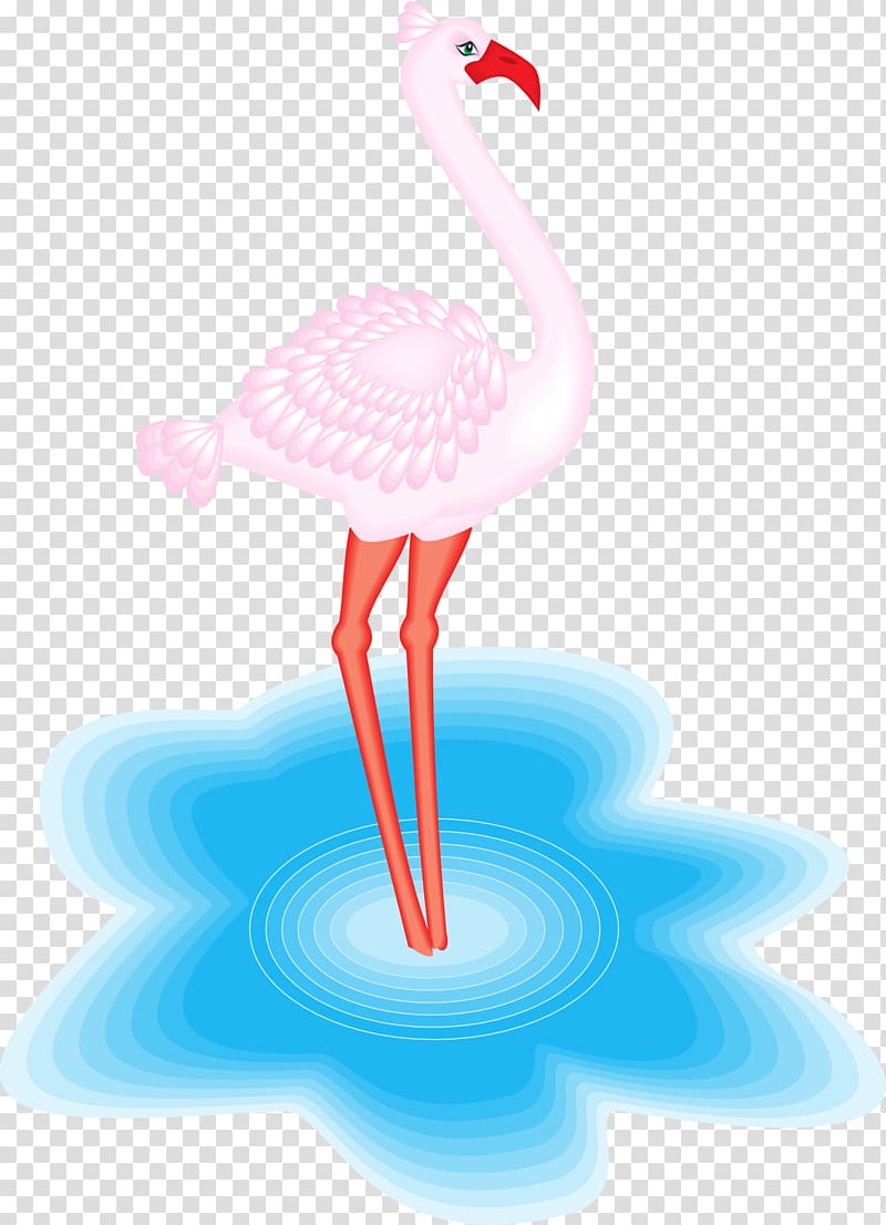Water bird Greater flamingo American flamingo, flamingo transparent background PNG clipart