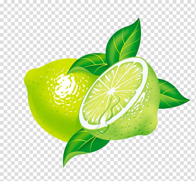 Key lime Lemon Persian lime, Green lemon transparent background PNG clipart