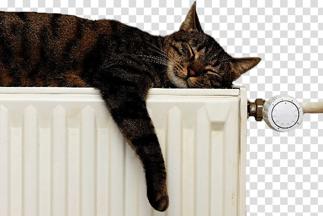 cat sleeping on water heater, Cat on Radiator transparent background PNG clipart