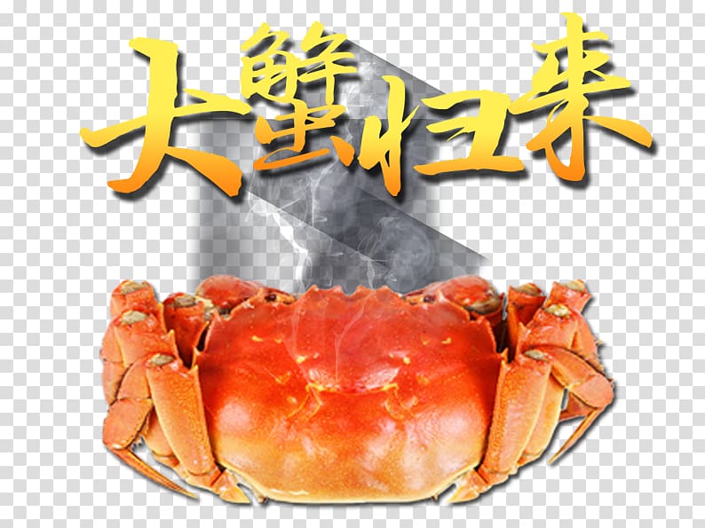 Dungeness crab Lobster King crab Crab meat, Crab Return transparent background PNG clipart