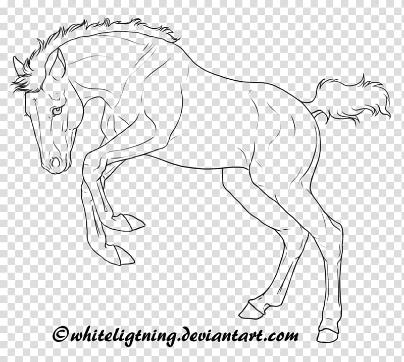 Arabian horse American Quarter Horse Foal Mare Line art, line drawing transparent background PNG clipart