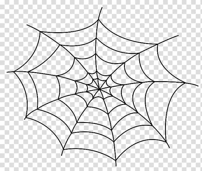 Spider web Drawing , spider transparent background PNG clipart