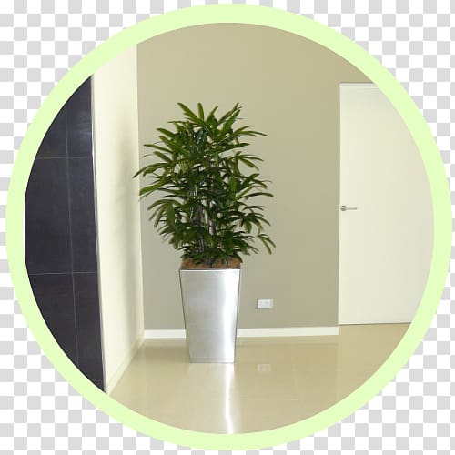 Flowerpot Workplace Houseplant Indoor air quality Herb, Indoor Air Quality transparent background PNG clipart