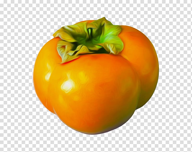 Persimmon transparent background PNG clipart