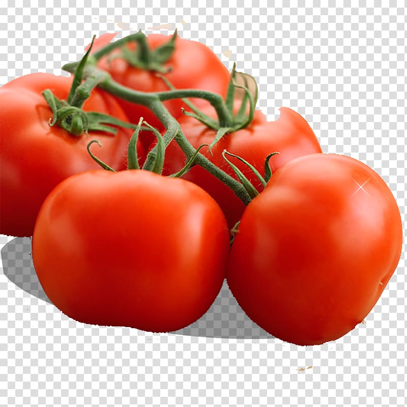 Organic food Tomato Vegetable Eating, A bunch of tomatoes transparent background PNG clipart