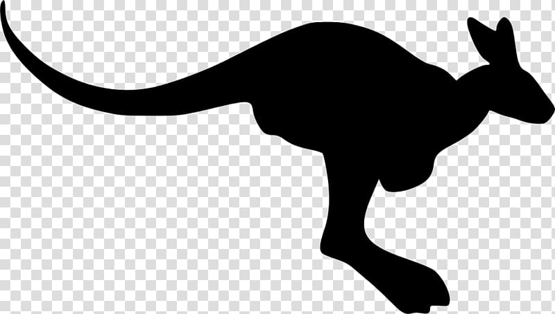 Kangaroo Silhouette , kangaroo transparent background PNG clipart