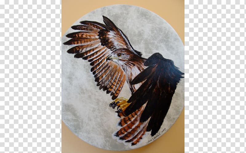 Earth and Spirit Gallery Taos Bird of prey Bald Eagle, hand painted transparent background PNG clipart