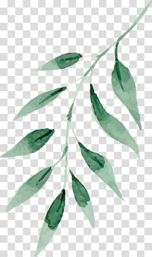 Watercolor painting Drawing Green Leaf, geo filter transparent background PNG clipart thumbnail