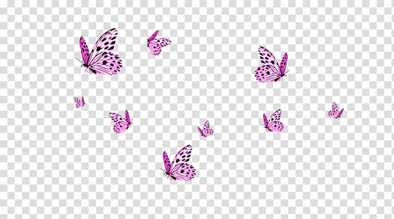 Monarch butterfly, Butterflies , pink butterflies illustration transparent background PNG clipart
