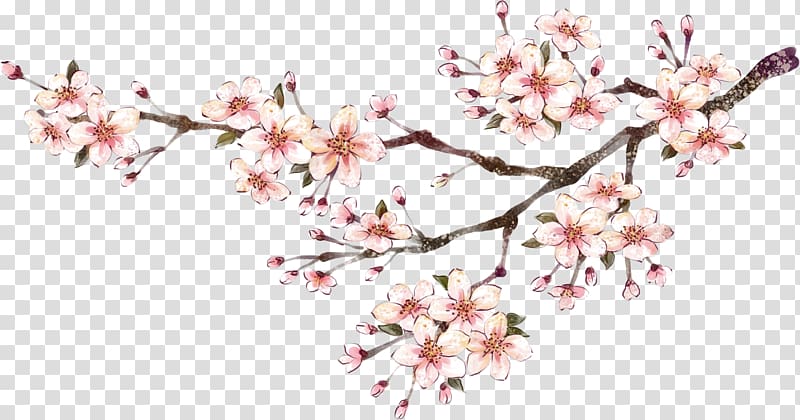 Chinese New Year Poster Chinese painting, Plum flower transparent background PNG clipart