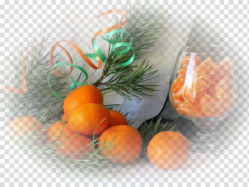 The Art of Yoshitaka Amano Fruit Still life Mandarin orange Painting, vitamine transparent background PNG clipart