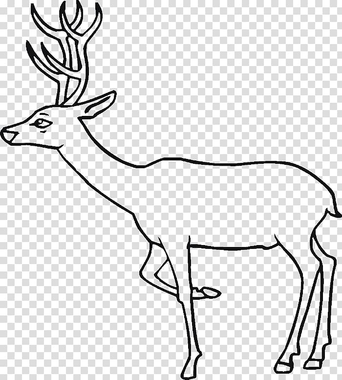 Elk Deer Train Coloring book , Train Drawings For Kids transparent background PNG clipart
