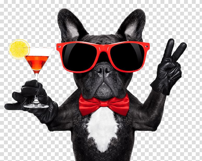 Dog Cocktail glass Martini Cocktail party, glasses dog transparent background PNG clipart
