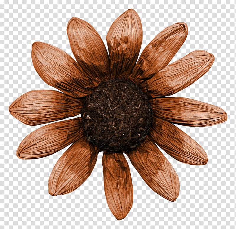 Dry flower transparent background PNG clipart | HiClipart