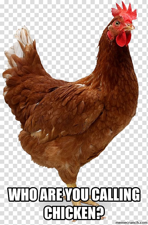 Chicken nugget Broiler Chicken as food Roast chicken, chicken transparent background PNG clipart