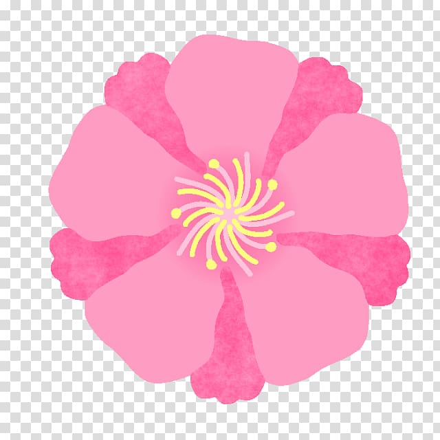 Sasanqua Camellia Illustration Japanese camellia Illustrator Design, camellia sasanqua transparent background PNG clipart