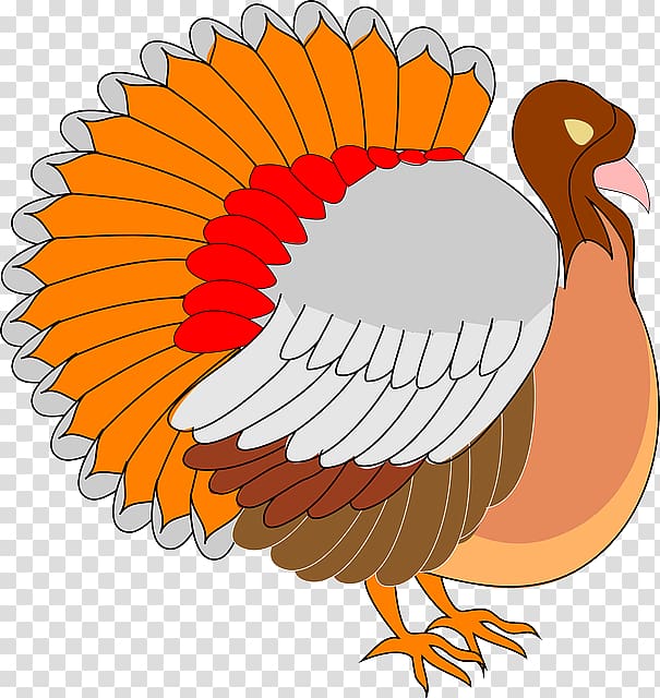 Apache OpenOffice Microsoft Office , Free Turkey transparent background PNG clipart