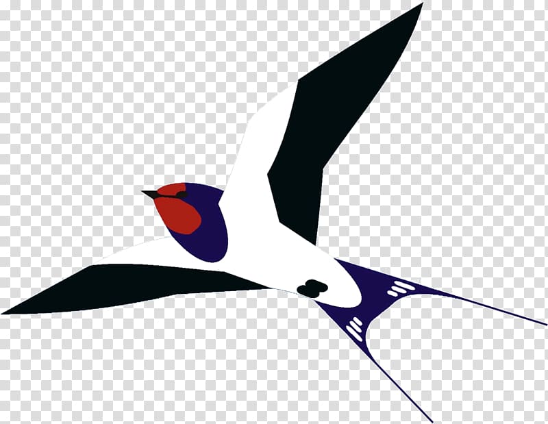 Bird Barn swallow Beak , Bird transparent background PNG clipart