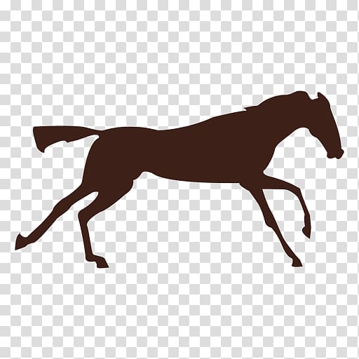 Horse gait Canter and gallop Foal, sequntial transparent background PNG clipart
