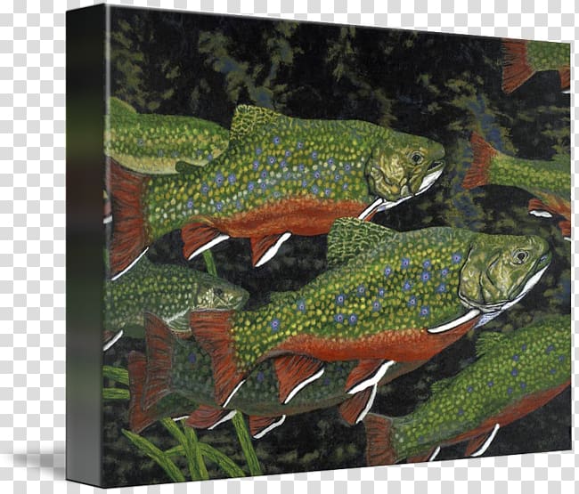 Brook trout Art kind Painting, painting transparent background PNG clipart
