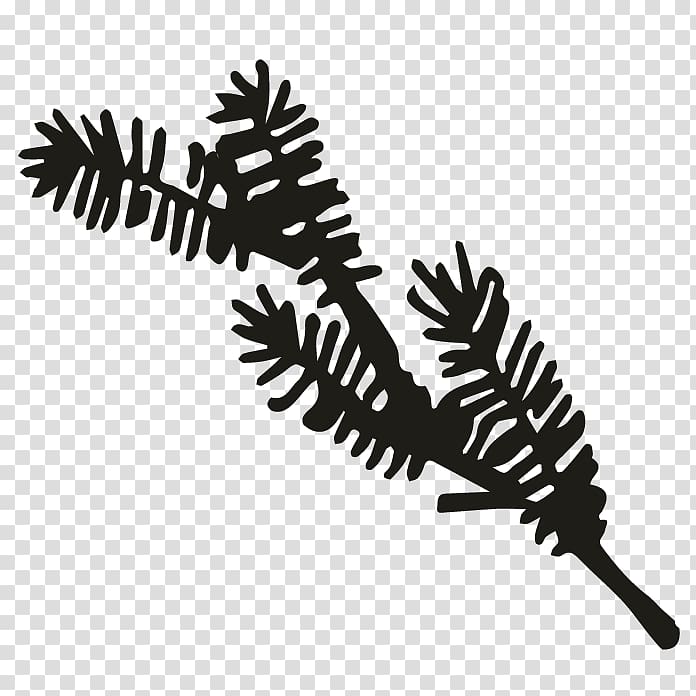 Monochrome Tree Silhouette , pine boughs transparent background PNG clipart