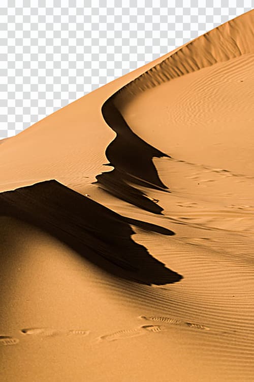 Erg Singing sand Pebble, Golden sand on the slope transparent background PNG clipart