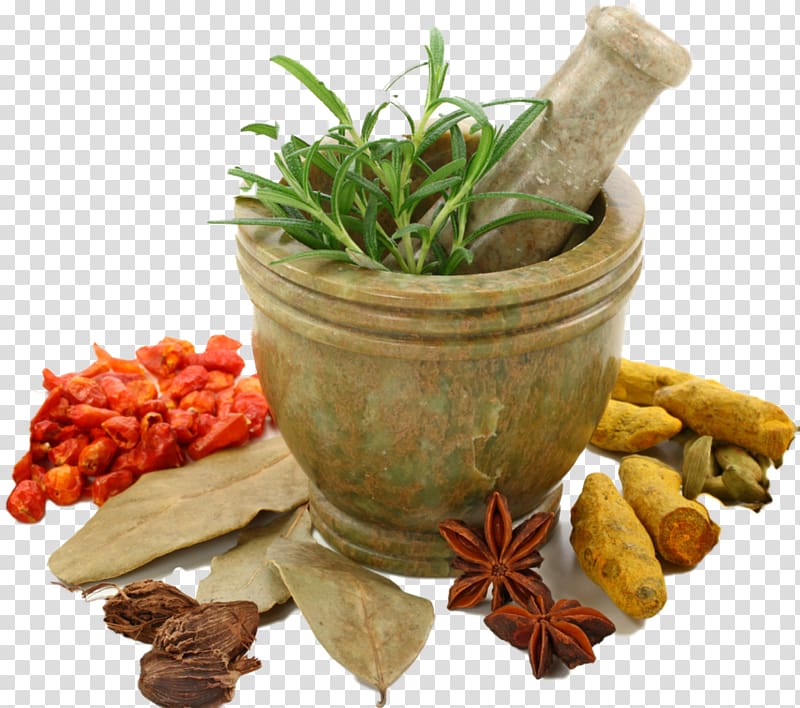 brown mortar and pestle with assorted herbs, Ayurveda Therapy Panchakarma Shirodhara Medicine, herbal transparent background PNG clipart