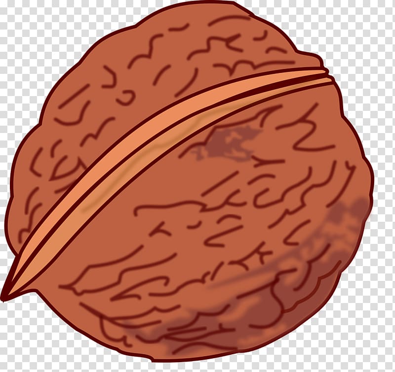 Eastern black walnut , walnut transparent background PNG clipart