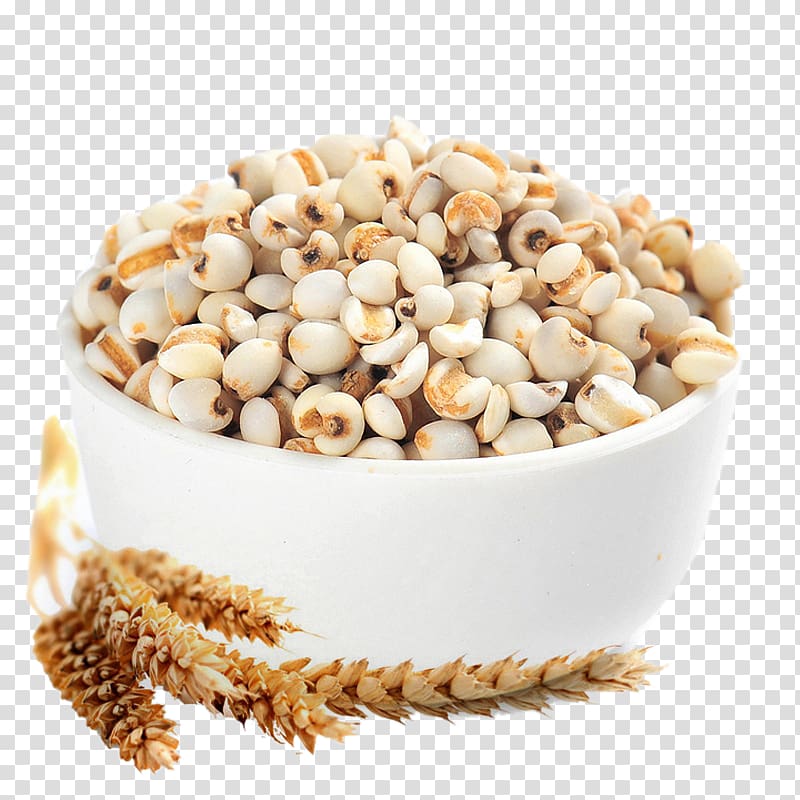 Tea Adlay Rice Cereal Seed, HD bowl of barley rice transparent background PNG clipart