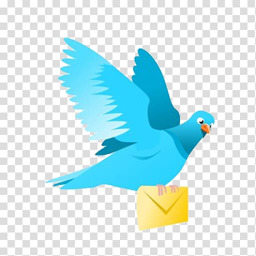 Homing pigeon Pigeons and doves English Carrier pigeon Bird, Bird transparent background PNG clipart